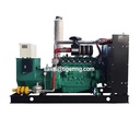 250kva 200kw Natural Gas Generator Set, Biogas Natural Gas Liquefied Petroleum Gas Generator