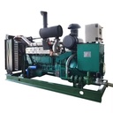 200kw 250kva Biogas/natural Gas Generators Set