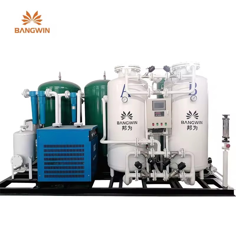 PSA Gas Generator Oxygen Plant O2 Generator Gas Generation Equipment for Fish Farm