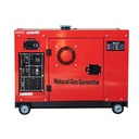 10KW 380V Single Phase Natural Gas Generator Portable Mini