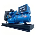 Natural Gas Generator Set 50kw for Hotel and Shopping Mall Standby Power