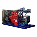 Natural Gas Power Plant 800kw/1000kVA Natural Gas Generator
