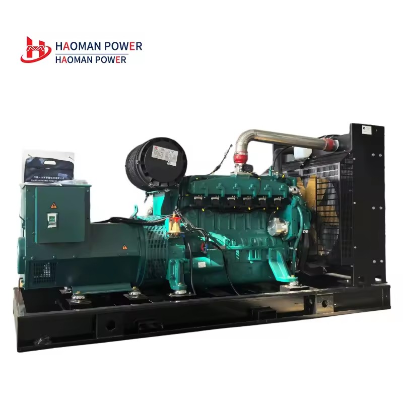 HM 100kw Biomass Biogas Natural Gas Gasifier Generator Set 95% Efficiency Syngas Power Generator ISO9001 Certified JKB3.9-NG