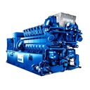 Hot Selling 1mw Biomass Gasification Power Plant for Sale with CHP Device