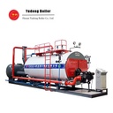 Steam Generator for Food Processing Industry High Capacity Gas/LPG Fuel CE/EAC Certified Oil Gas Fired