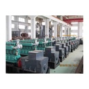 5MW Coal Gasification Power Generation Plant System Industrial Equipment