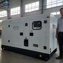 Nengron 300kW Diesel Natural Gas Generator QSL Electric Start IP67 High Reliability 3 Phase Steel Cement Factory CE EPA ISO