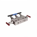 Stainless Steel 6000psi Instrument air 5-Valve Manifold Needle Valve Manifold