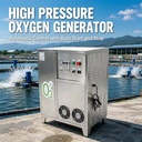 20L/min Industrial Oxygen Generator 0.2-0.7 MPa Oxygen Pressure High Pressure Oxygen Generator for Fish Farming