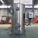 LHG Series Vertical Steam Generator Biomass Wood Coal Fired 100kg-3000kg for Factory Production