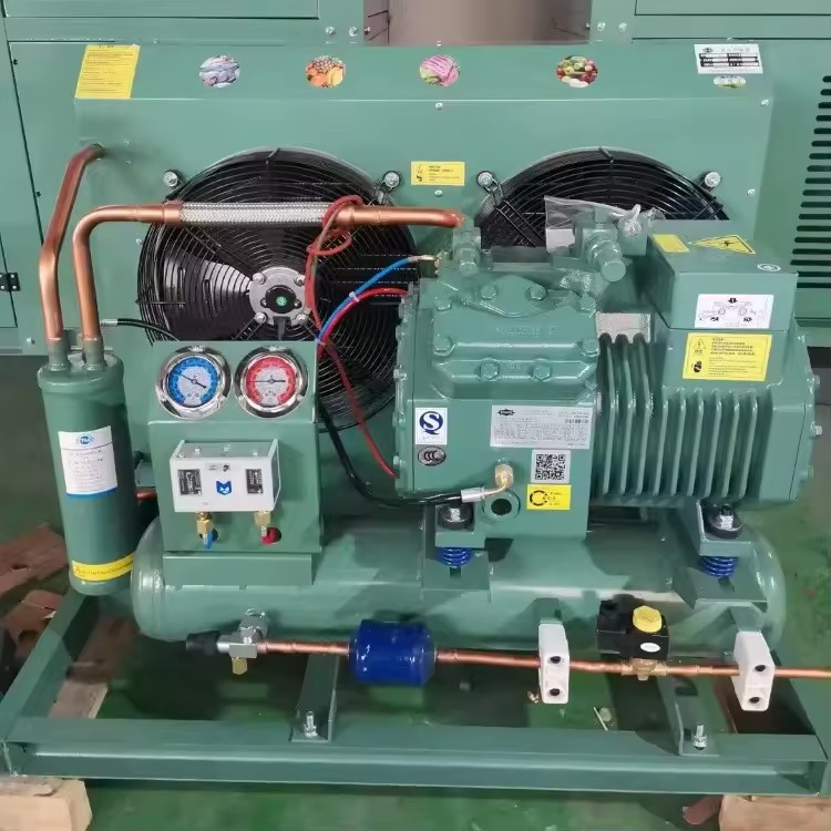 380V R290/R410A Energy Saving Automatic Air Cooled Condensing Unit with for Compressor for Blast Freezer Cold Room