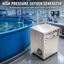 10L Professional Oxygen Generator High Pressure Oxygen Machine for Aquaculture Fish Farm and High Density Breeding