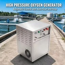 10L/min Industrial PSA Oxygen Machine High Pressure Oxygen Generator for Aquaculture Shrimp Farming Pond Water Treatment