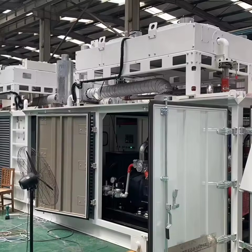 1000kW Silent Container Gas Generator Set with HONORSTAR Engine Industrial Backup Power