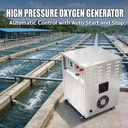 Oxygen Source Machine 10L High Pressure Oxygen Generator for Fish Farming Aquaculture and Hatchery O2 Supply