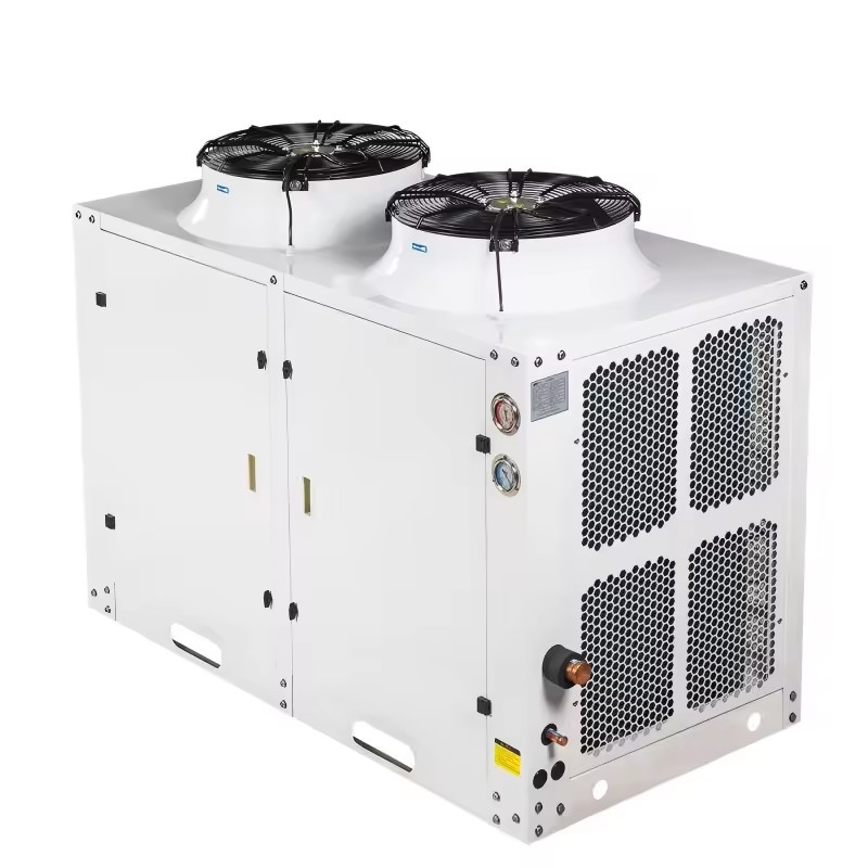Vertical Cabinet Top Blow Air Cooling Condensing Unit Energy Saving Refrigeration Condenser Equipment