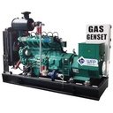 Natural Gas Generator 250kva 200kw Natural Gas Biogas LPG Syngas Oil Gas Generator