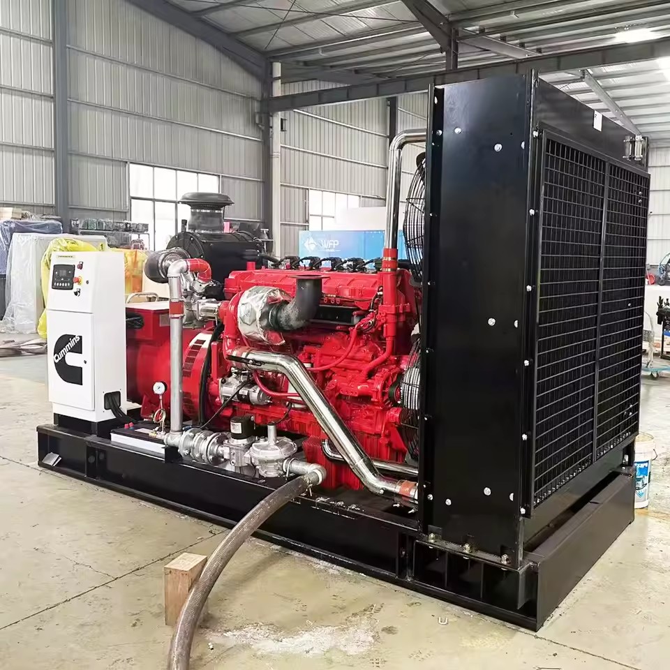 High Quality Cummins 250kw 300kw Natural Gas, Biogas, LPG, CNG Generator, Customized Generator Set