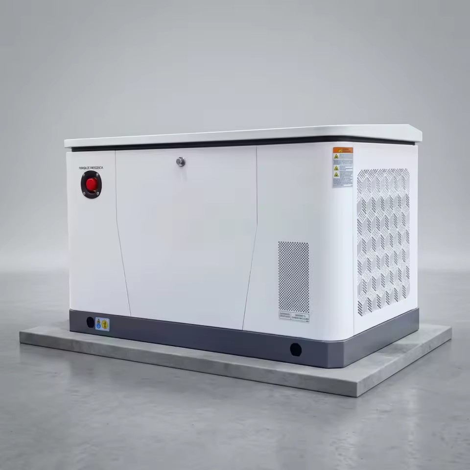 12kW Whole Home Generator Gas Fuel NG LPG Dual Fuel Automatic Backup Easy Install Three Purpose Frame