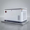 12kW Whole Home Generator Gas Fuel NG LPG Dual Fuel Automatic Backup Easy Install Three Purpose Frame