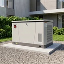 12kW Residential Gas Generator Dual Fuel NG LPG Power Backup Auto Start Quick Installation Frame System