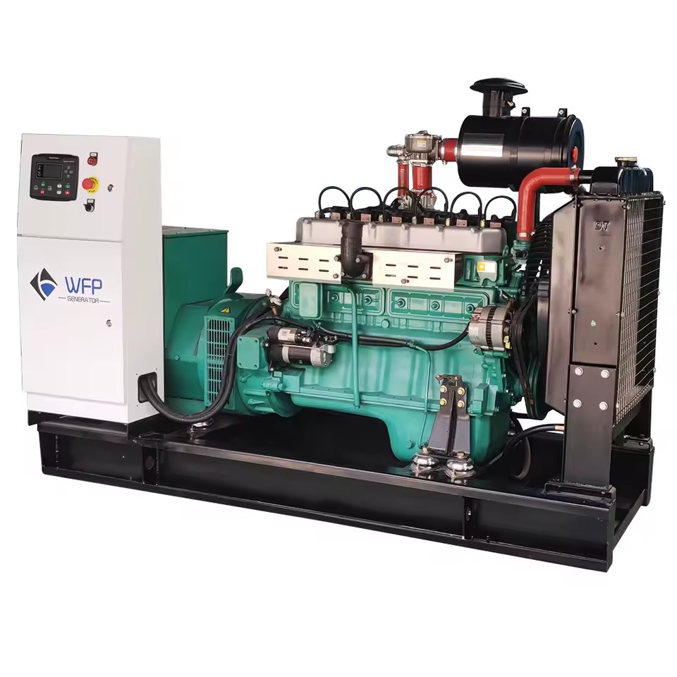 Bio Gas Plant System Home WEICHAI Genset Gas Generator Biogas Generator Gasoline Generator WEICHAI