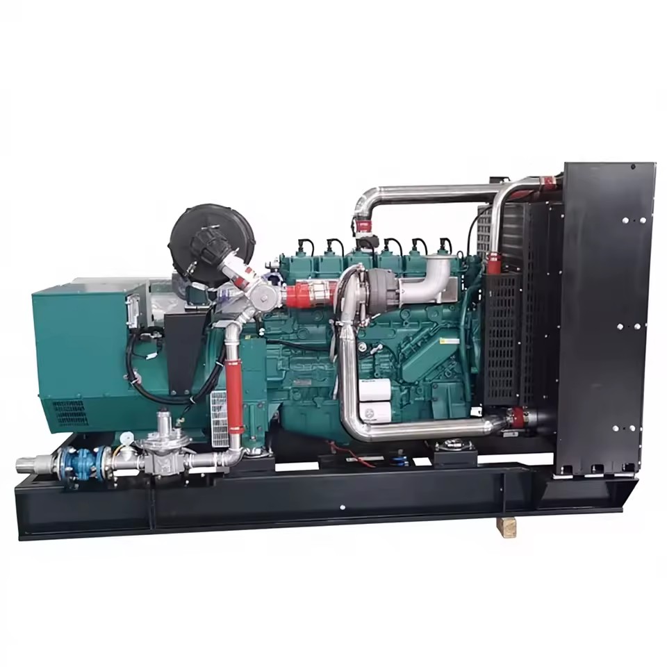 Natural Gas Generator Set 300kW 1000kW Biogas for Livestock Farms and Oilfield Use 50/60 Hz Manufacturers Supply Ricardo