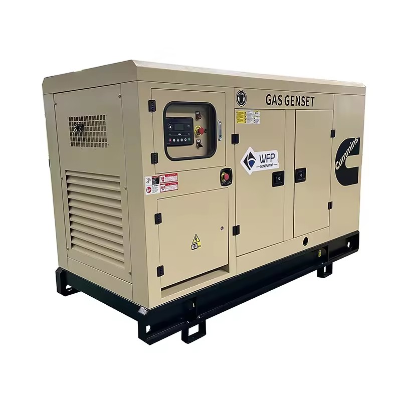 Cummins Natural Gas Generator 30KW 40KW 50KW 60KW Silent Box cummins Engine Generator Bio Gad Generator Electrical Plant