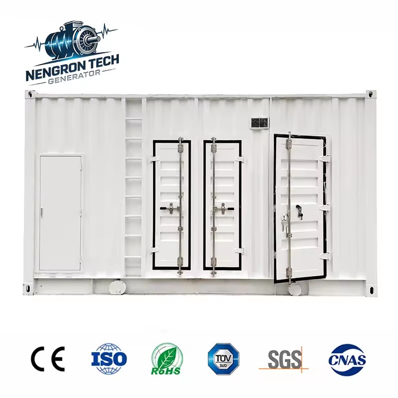 Container Gas Genset 300kW 500kW Dongfeng Cummins Power Anti-rust Anti-corrosion Canopy for Coastal Industrial Project