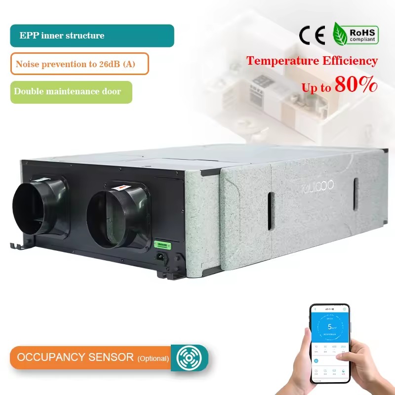 Energy Saving EPP ERV Fresh Air System Intelligent Defrosting APP Control Indoor Air Quality HVAC Solution