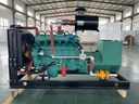 Gas Generator Set 40 kW 50 75 LPG CNG Auto Start ATS Sets Bio Natural 50/60hz