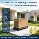 12kW Whole House Standby Generator Natural Gas LPG Dual Fuel with Fast Setup and Reliable Backup Power