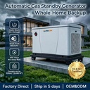 12kW Home Standby Generator Natural Gas LPG Dual Fuel with 200H Long Runtime Fast Installation