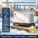 10kW Residential Gas Generator Dual Fuel NG LPG Auto Start with Easy Setup 200H Maintenance Cycle