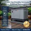 10kW Home Backup Gas Generator Dual Fuel Natural Gas LPG Auto Start 200H Oil Service Long Maintenance
