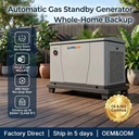 ApexGen 10kW Residential Gas Generator Easy Installation Dual Fuel NG LPG Automatic Start 3-in-1 Base Stand