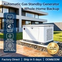 ApexGen 18kW / 22kVA Dual Fuel Standby Generator with Liquid Cooling and Three Installation Options