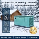 24kW / 30kVA Three Phase Gas Generator Liquid Cooled Dual Fuel NG LPG with Optional Transport Storage Stand