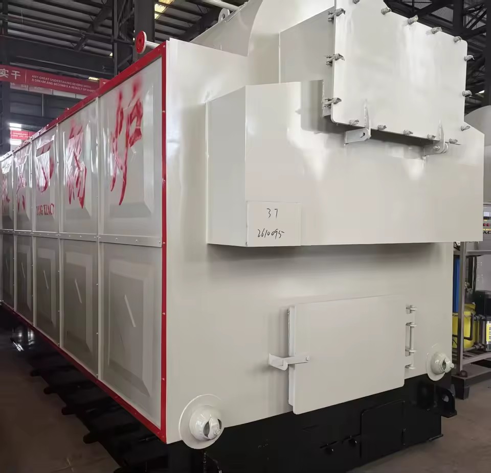 DZH Convenient Maintenance Low Noise Mixed Biomass Fuel Printing and Dyeing Plant Boiler