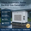 15kW / 19kVA Dual Fuel Home Backup Generator with 96H Salt Spray Tested Outdoor Durability