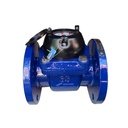 ISO4064 Class B Agriculture Woltman LXLGC Coated Surface Cold & Hot Water Meter DN65mm PN16
