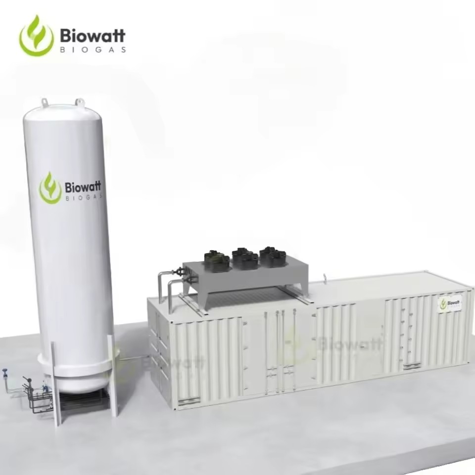 Biogas Generator Set to Bio CNG Plant Machinery for CBG Production Process Including Compression