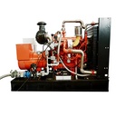 300kW 375kVA Dual Fuel Generator LPG Natural Gas Biogas Genset with ATS Auto Start System for Industrial