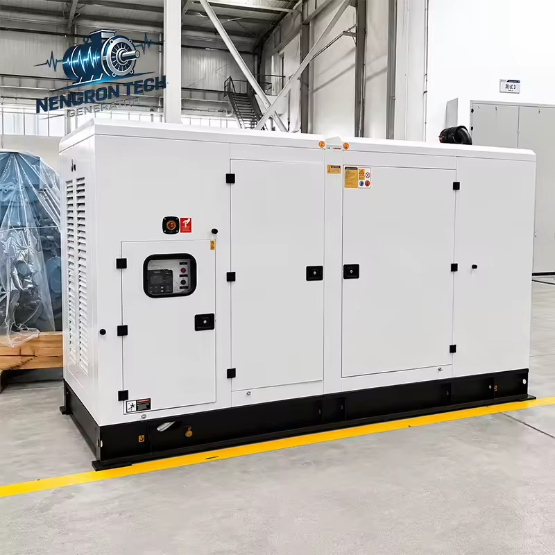 Fully Enclosed Silent Natural Gas Generator Anti Vibration Long Lifespan Industrial Daily Power Generation Machine
