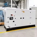 Fully Enclosed Silent Natural Gas Generator Anti Vibration Long Lifespan Industrial Daily Power Generation Machine