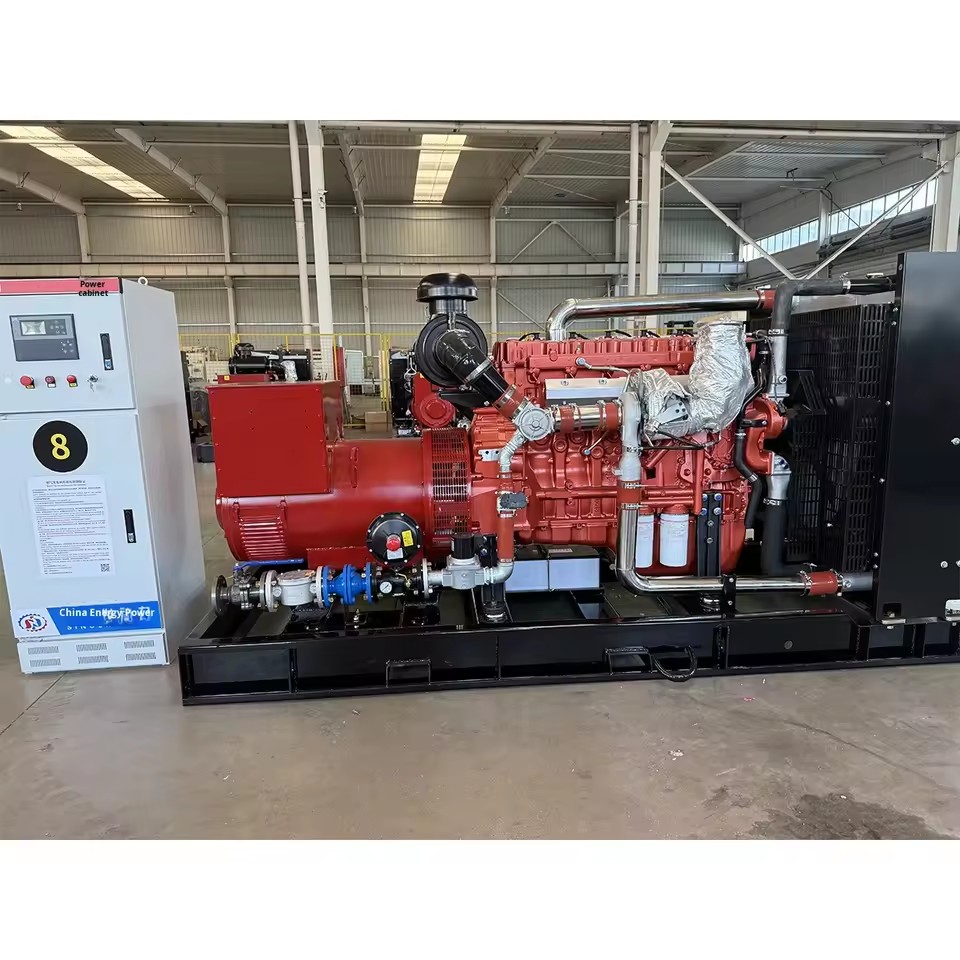 250kW Biogas Gas Generator Set-Clean and Efficient Commercial Three-Phase Water Cooled Auto Start ATS SE250BF