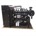 31.25 KVA 25kw Natural Gas Generator with Auto Start & Remote Start 95% Efficiency Water Cooled IP23 380V/220V 50/60Hz