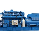 1000kW Yuchai Natural Gas Generator Set SE1000NF Auto Start Remote Start Biogas Compatible DC Electric Start 95% Efficiency