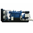 500kW 625kVA-1000kVA Biogas Generator Set Natural Gas/Methane Genset CHP Cogeneration for Industry Power