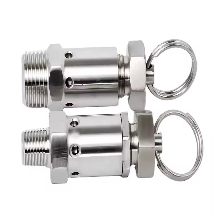 SS304 Stainless Steel Sanitary Air Compressor Safety Relief Valve